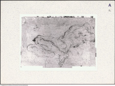 Vorderseite von bh398266_recto