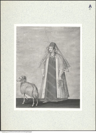 Vorderseite von bh398336_recto