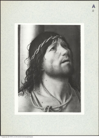 Vorderseite von bh398337_recto