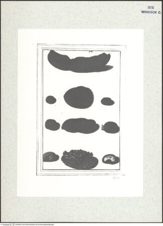 Vorderseite von bh398393_recto