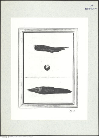 Vorderseite von bh398397_recto