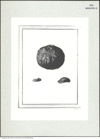 Vorderseite von bh398399_recto