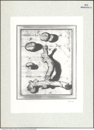 Vorderseite von bh398400-1_bh398400-2_recto