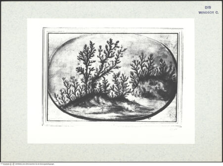 Vorderseite von bh398404_recto