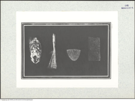 Vorderseite von bh398406_recto