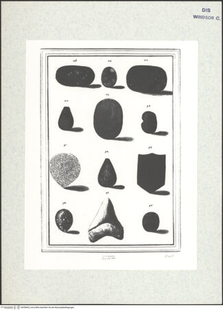 Vorderseite von bh398423_recto