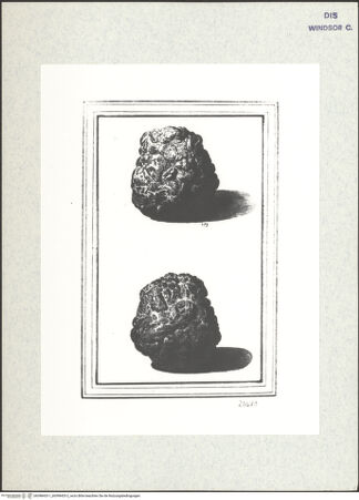 Vorderseite von bh398433-1_bh398433-2_recto