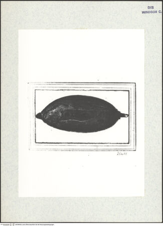 Vorderseite von bh398436_recto