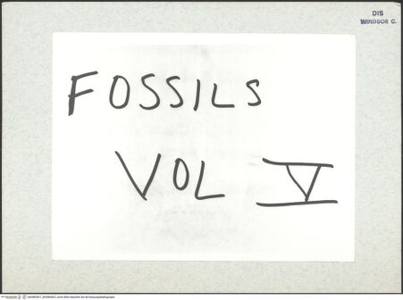 Vorderseite von bh398438-1_bh398438-2_recto