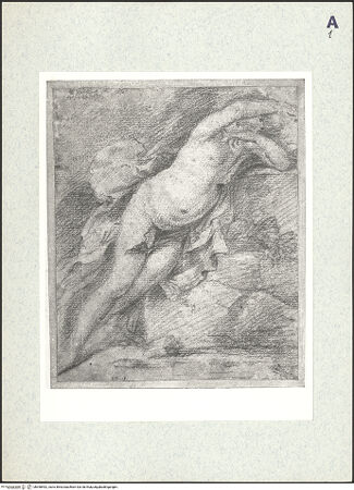 Vorderseite von bh398492_recto