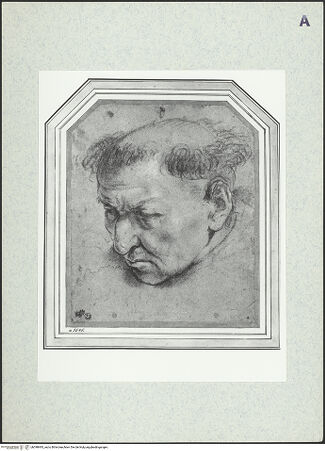 Vorderseite von bh398493_recto