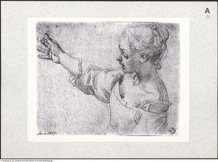 Vorderseite von bh398495_recto