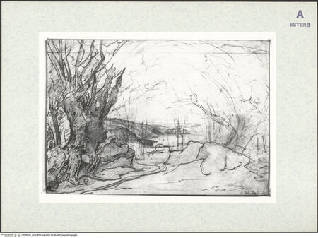 Vorderseite von bh398531_recto