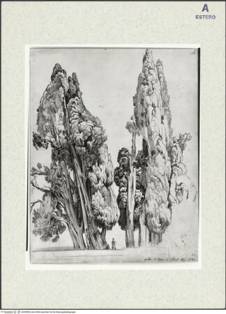 Vorderseite von bh398538_recto