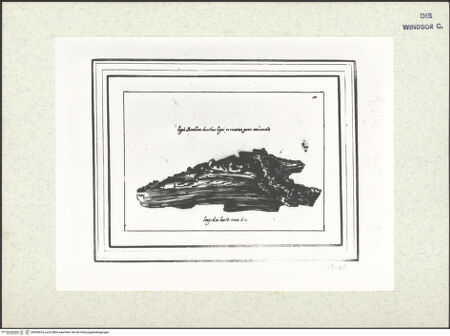 Vorderseite von bh398634_recto