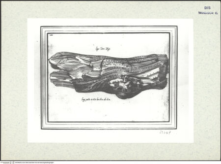 Vorderseite von bh398638_recto