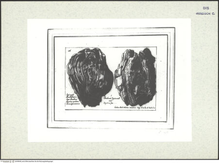 Vorderseite von bh398640_recto