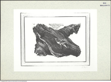 Vorderseite von bh398642_recto