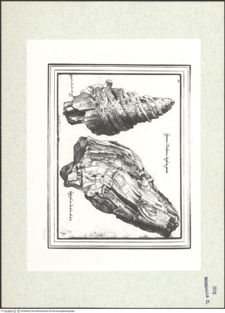 Vorderseite von bh398645_recto