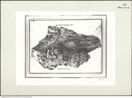 Vorderseite von bh398647_recto