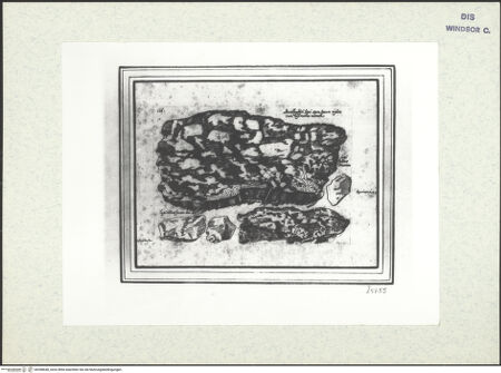 Vorderseite von bh398648_recto