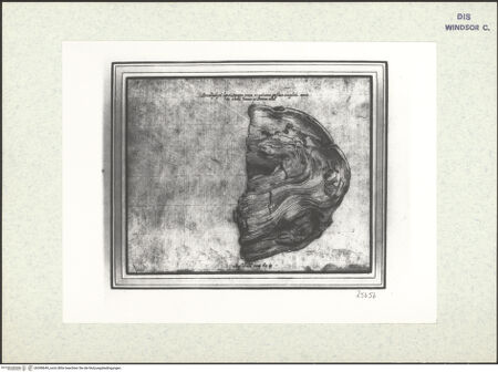 Vorderseite von bh398649_recto