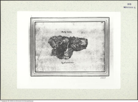 Vorderseite von bh398650_recto