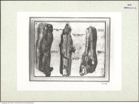 Vorderseite von bh398651_recto