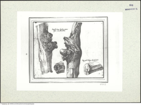 Vorderseite von bh398652_recto