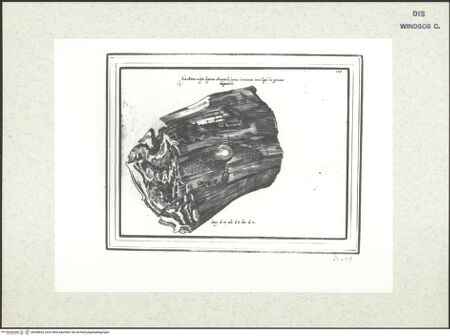 Vorderseite von bh398653_recto