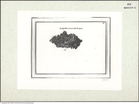 Vorderseite von bh398654_recto