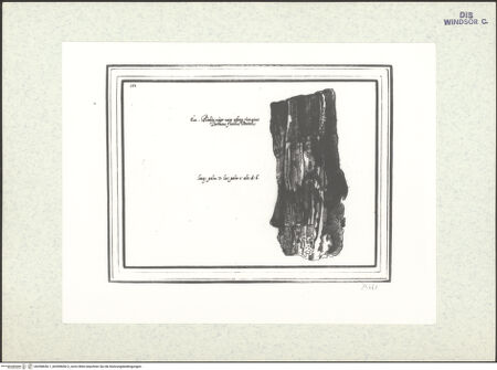 Vorderseite von bh398656-1_bh398656-2_recto