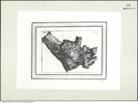 Vorderseite von bh398659_recto