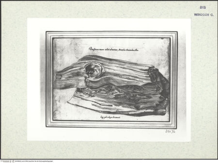 Vorderseite von bh398663_recto