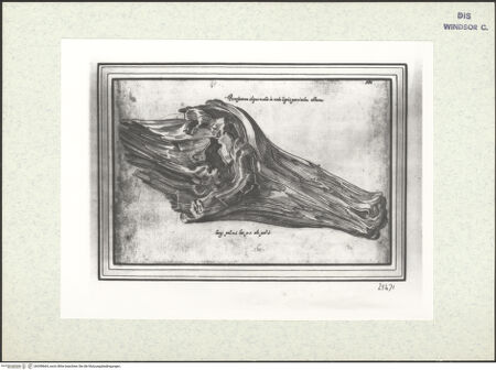 Vorderseite von bh398664_recto