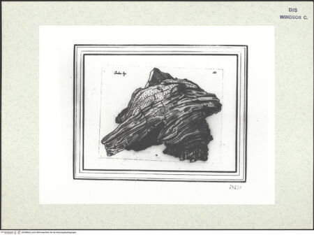 Vorderseite von bh398665_recto