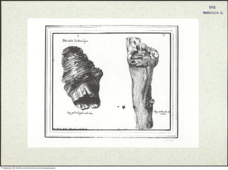 Vorderseite von bh398667_recto