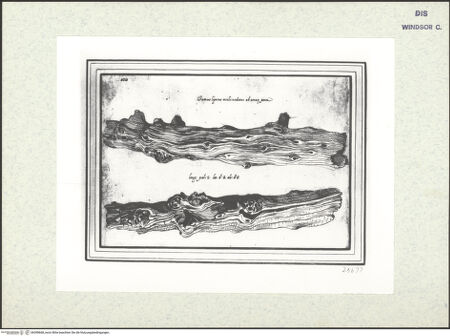 Vorderseite von bh398668_recto