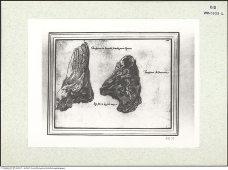 Vorderseite von bh398675-1_bh398675-2_recto