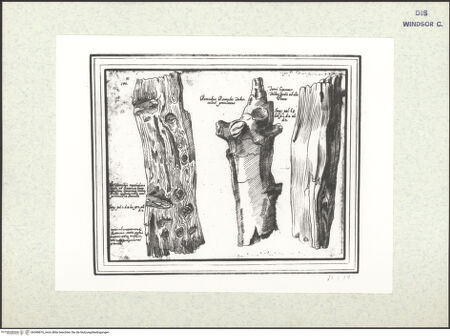 Vorderseite von bh398676_recto