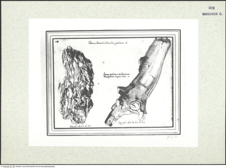 Vorderseite von bh398677_recto