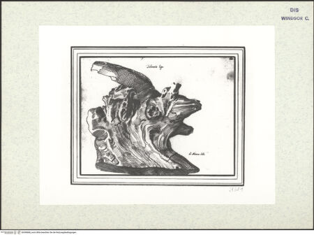 Vorderseite von bh398686_recto