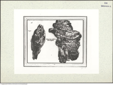 Vorderseite von bh398690_recto