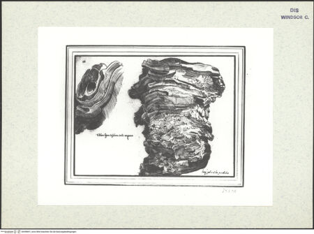 Vorderseite von bh398691_recto