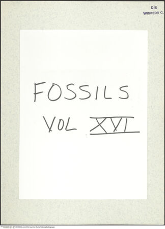 Vorderseite von bh398694_recto