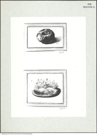 Vorderseite von bh398698_recto