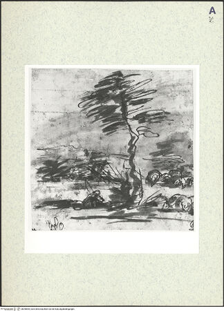 Vorderseite von bh398965_recto