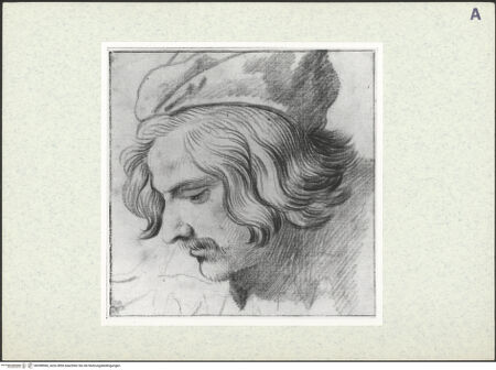 Vorderseite von bh398966_recto