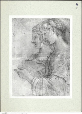 Vorderseite von bh399038_recto