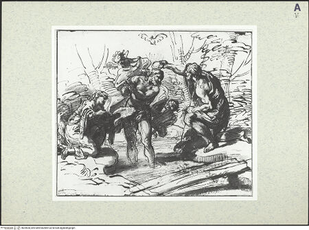 Vorderseite von bh399050_recto